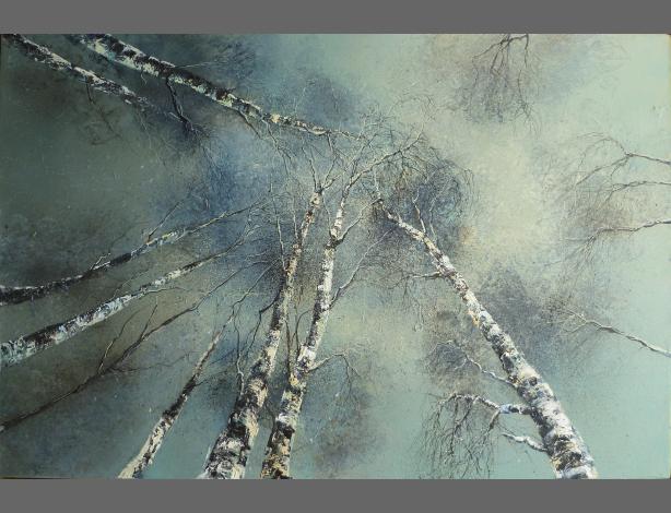 Silver Birch Canopy in Winter