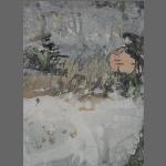 DSCN7660a1a