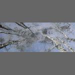 DSCN7671a1a