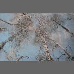 DSCN7672a1a1